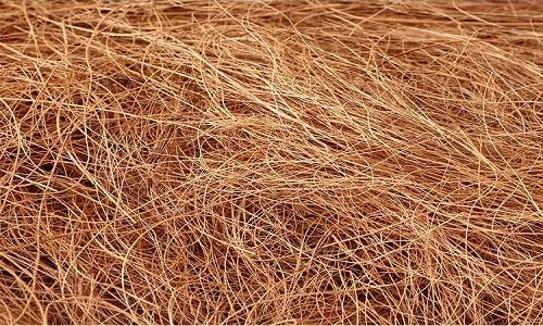 椰壳纤维进口报关注意事项