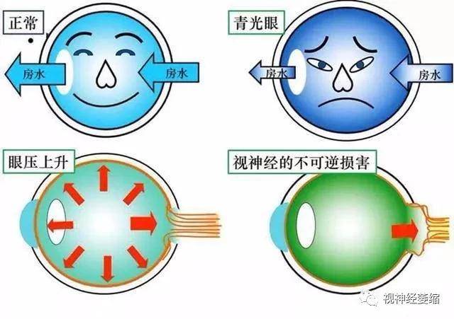 虹视是什么意思 来自搜狐网