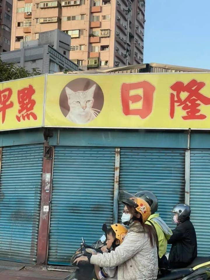 台湾早餐店用猫做招牌,快把路人笑疯了!