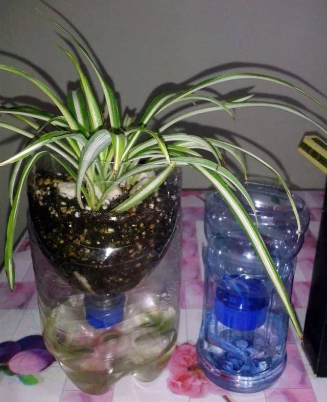 9f3d8651de31482fb39467e99971f08f.jpeg