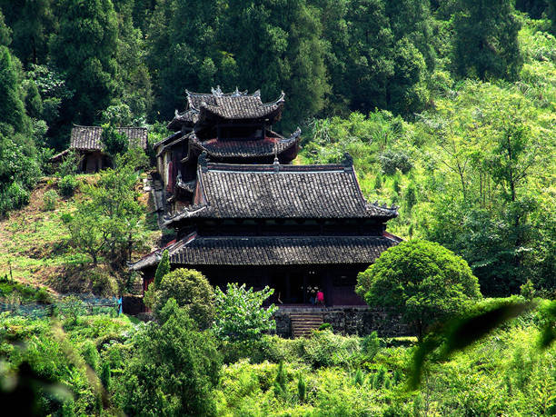 吉象地板尊木_朵蘭木地板_富林地板天料木