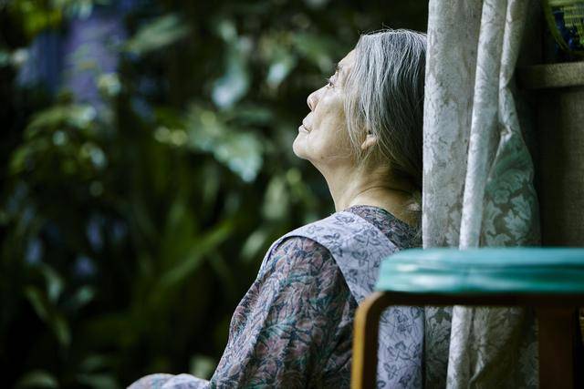 压力山大却全球最长寿 日本人 朴实无华 的秘诀 归结为一个词 Ikigai