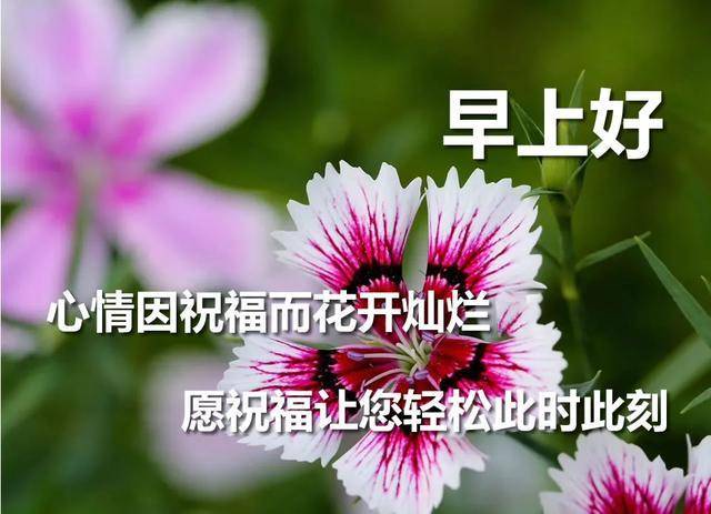 22a50c0cf11d4075ac206c5a54b56fe1.jpeg