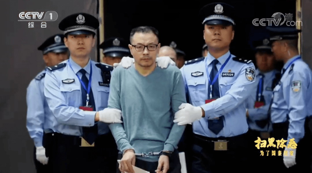 祸害十几年的陈鸿志集团与大小保护伞被一网打尽,可谓是拨云见日,再见