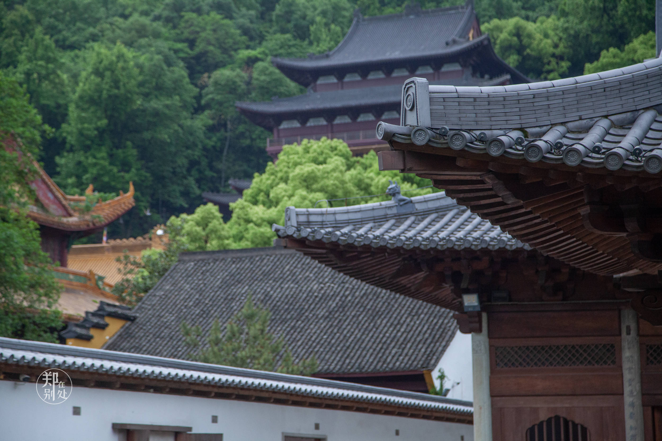 一尊五官很像"王石"的济公形象,济公别院看不一样的济公_净慈寺