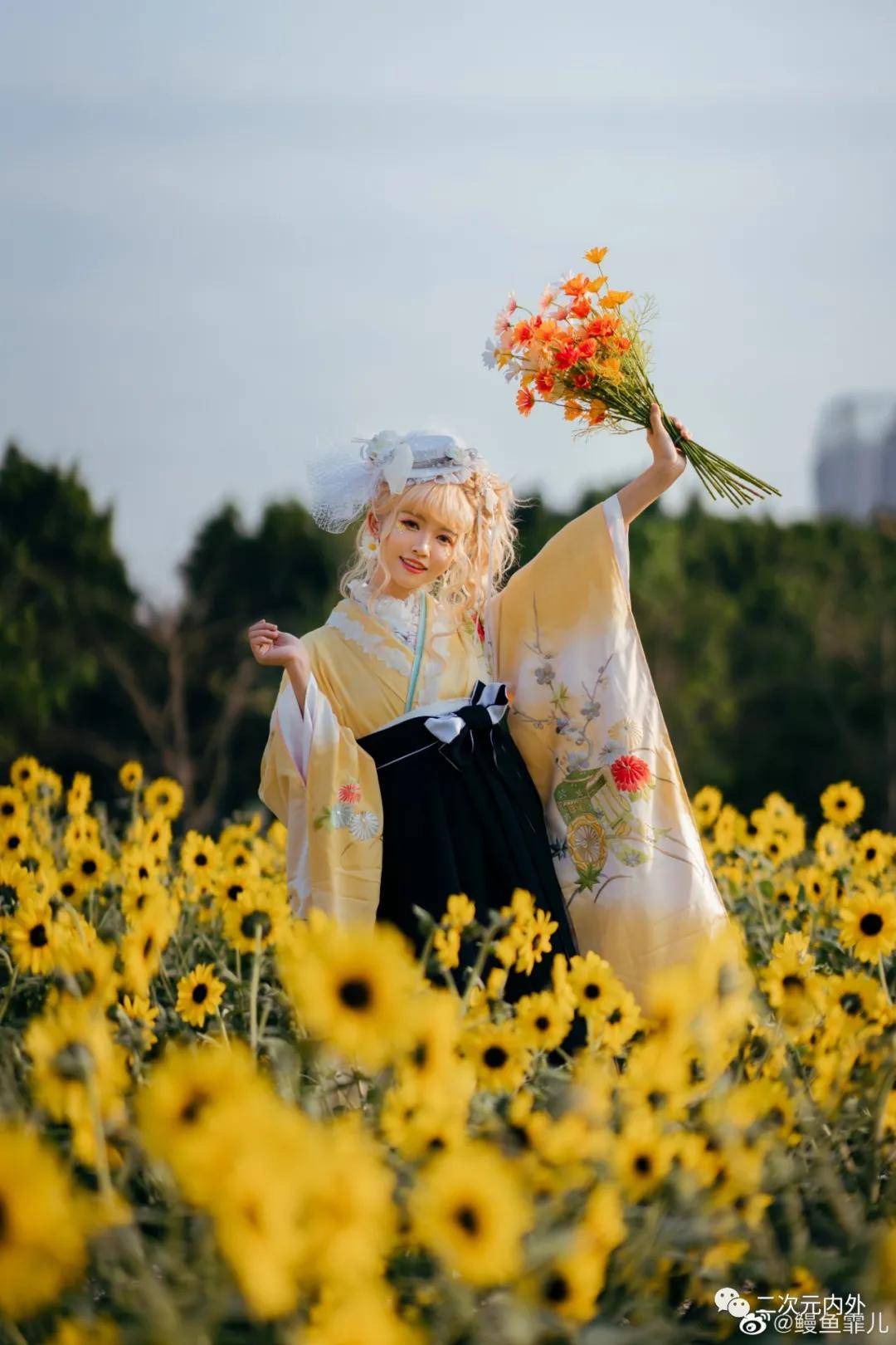和服私影~鳗鱼霏儿与向日葵花海