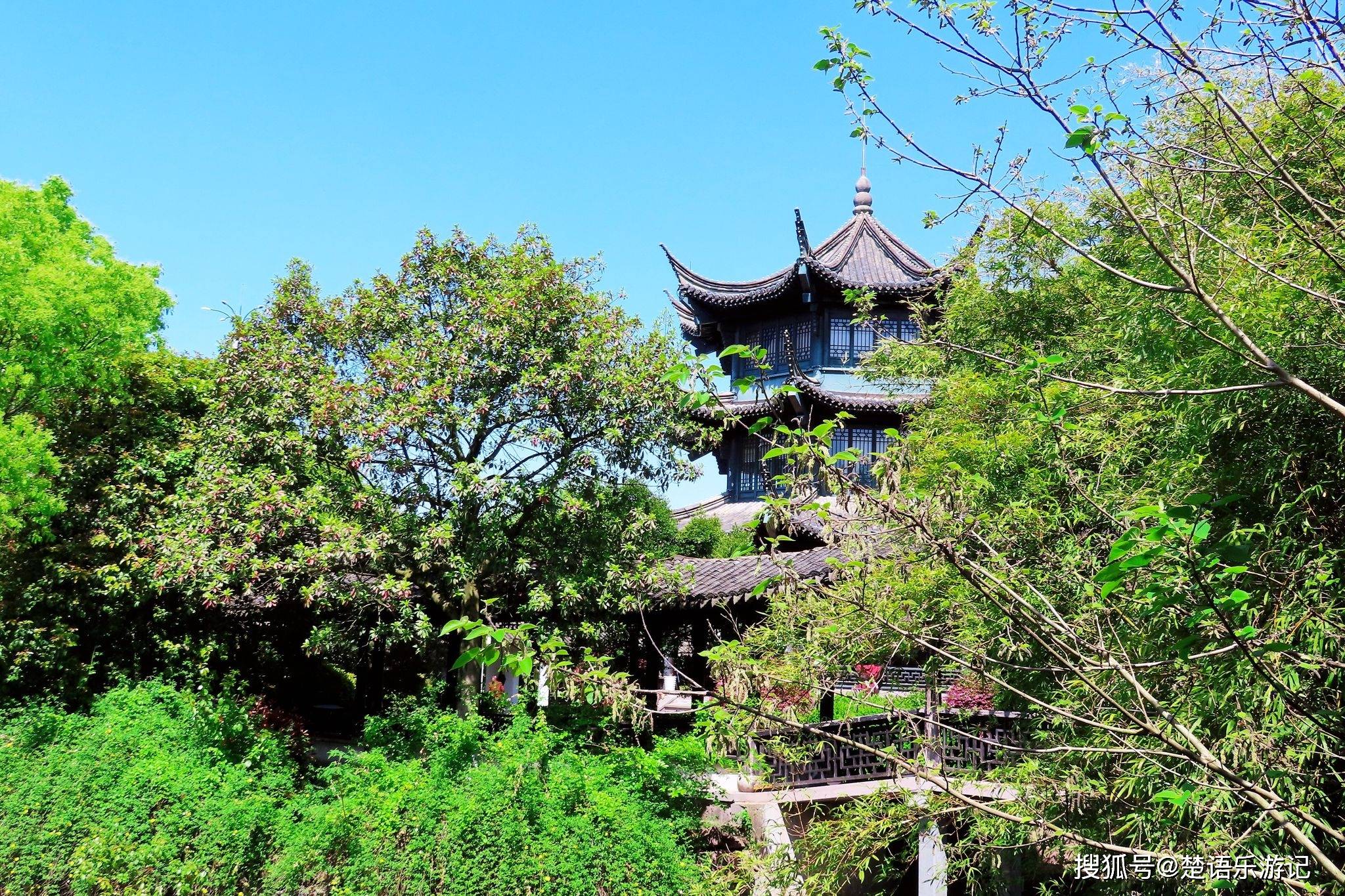 慈城有个被忽略的景点,像一个小"绿肺",林中藏着一个美丽书房_公园