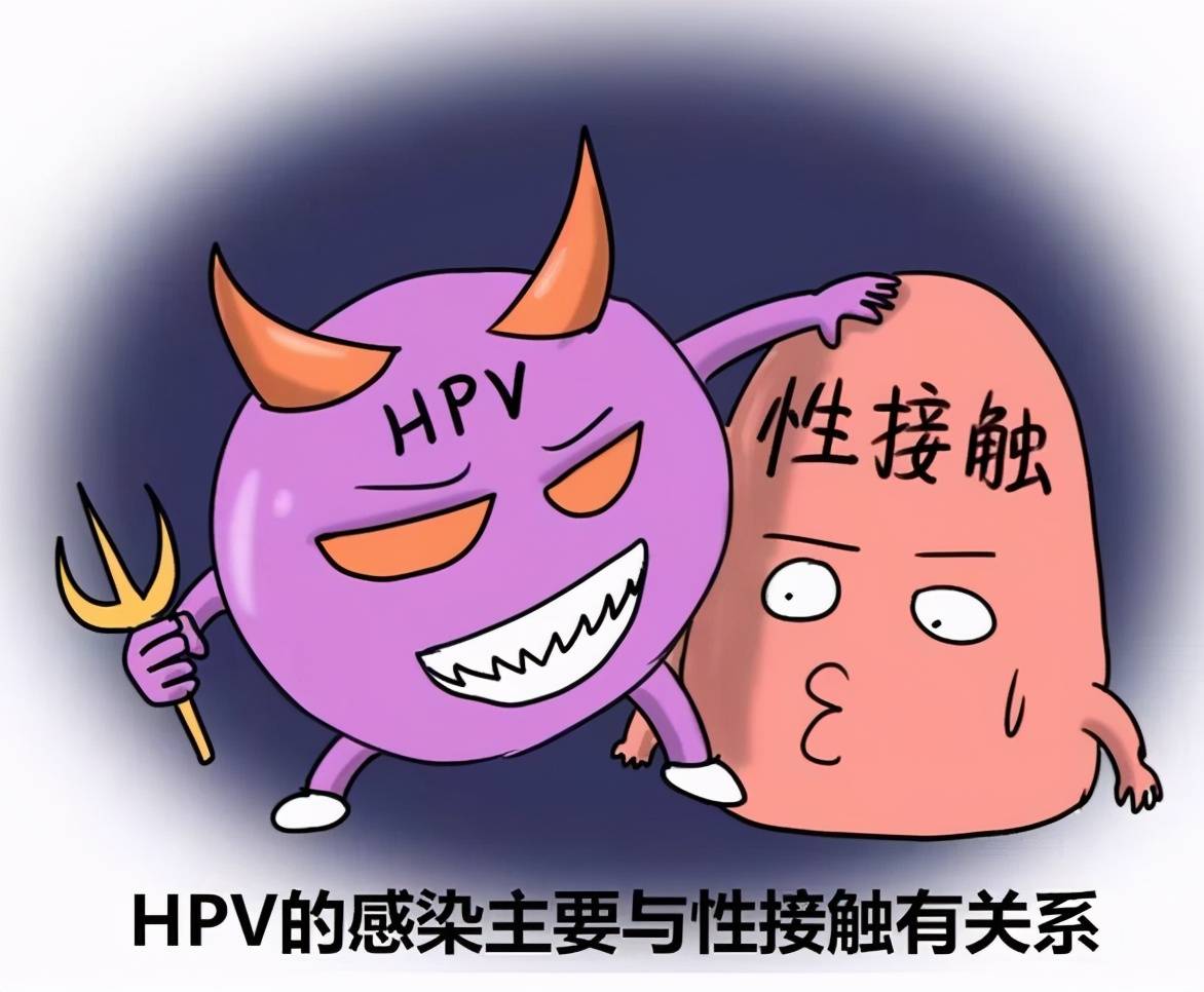 都安全小黃盒感染了hpv是x病嗎專家告訴你真相