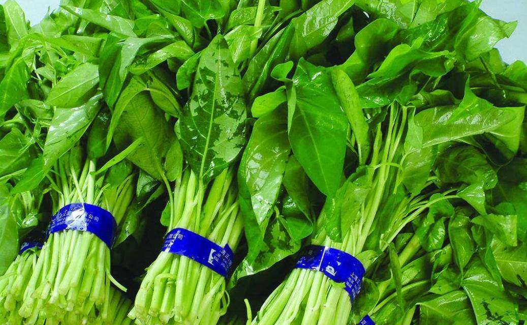 吃不完的空心菜不要放在冰箱菜农教您一招放一年都不会坏