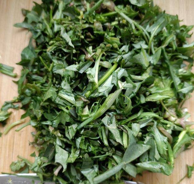 肉末炒苦菜,野菜这样吃,简单又下饭