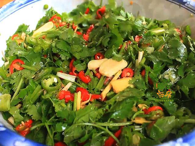 香菜别再煮火锅了试试这个吃法香辣入味特解馋比榨菜下饭