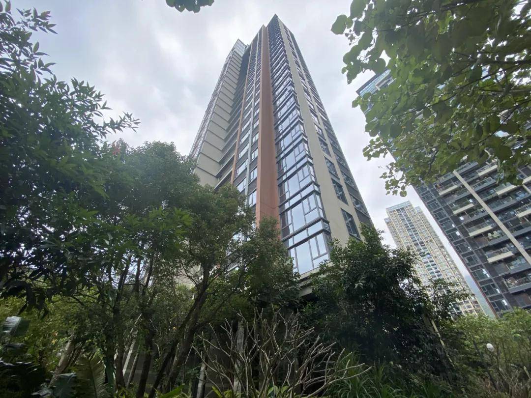 合泰御景翠峰盐田