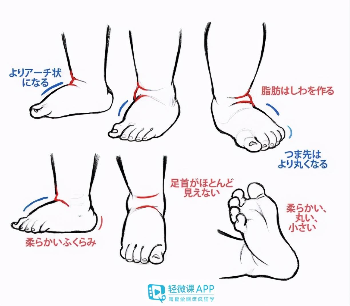 手是什么形状 e9743cbbf0e240be8e126785c3bc8626.jpeg