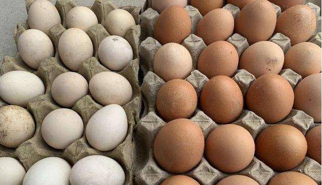 人造蛋与鸡蛋的区别图片