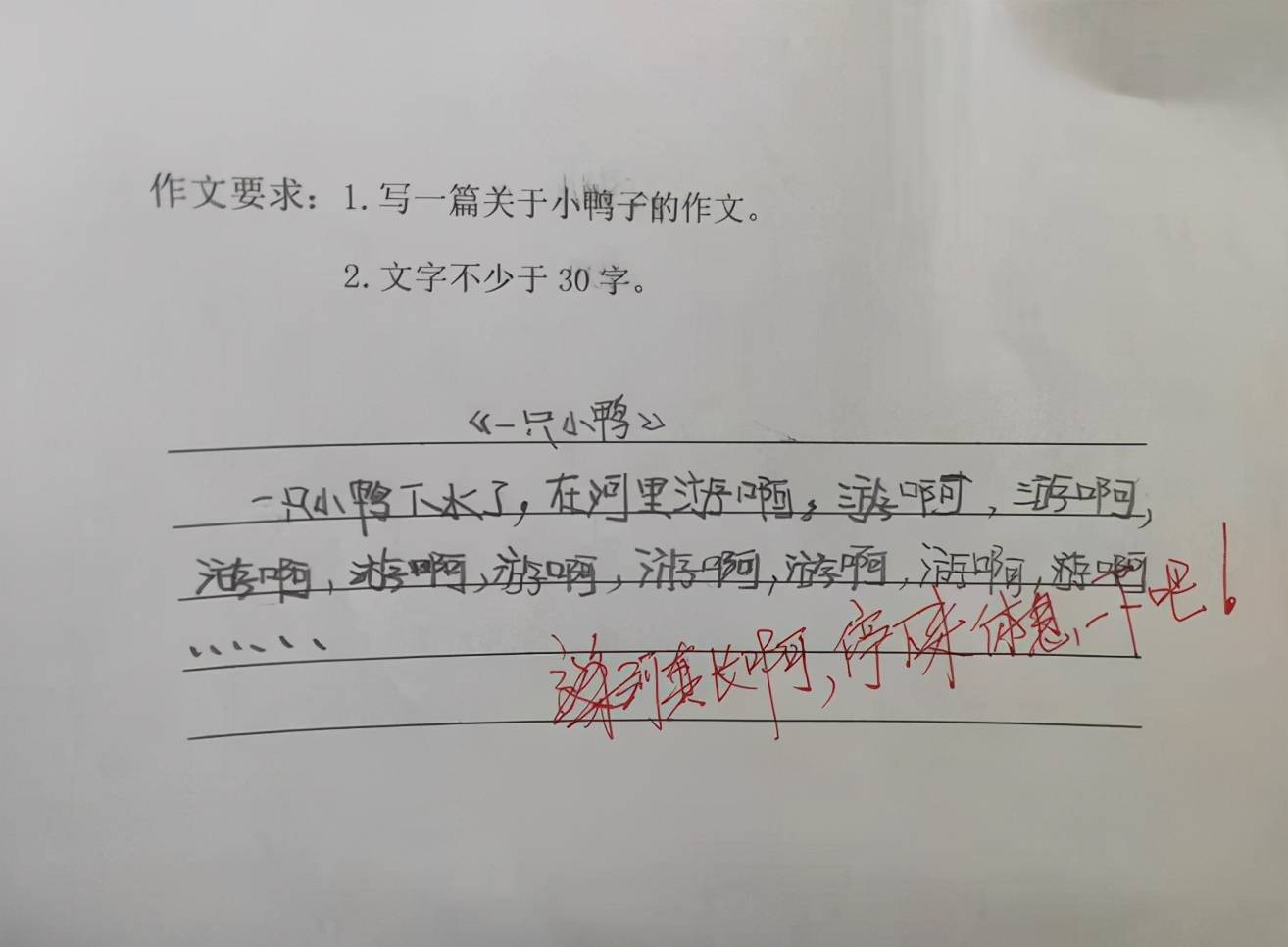 小学生作文 一只小鸭 思维清晰富有画面感 老师的评语亮了 写作