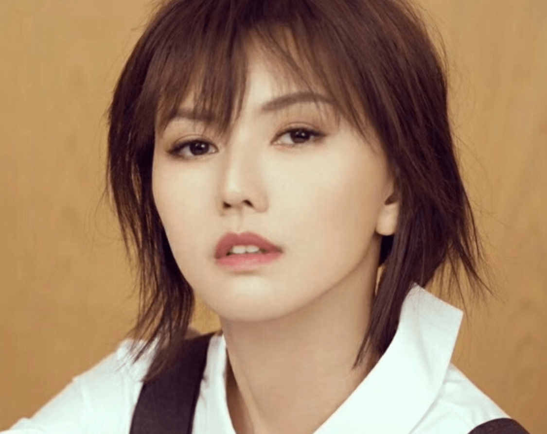 孙燕姿被称为冷门歌手资深粉丝肖战上线大喊离谱