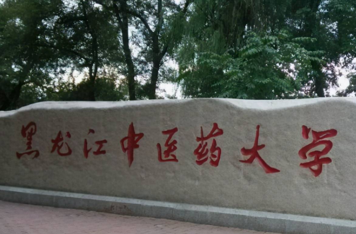 黑龙江中医药大学 logo图片