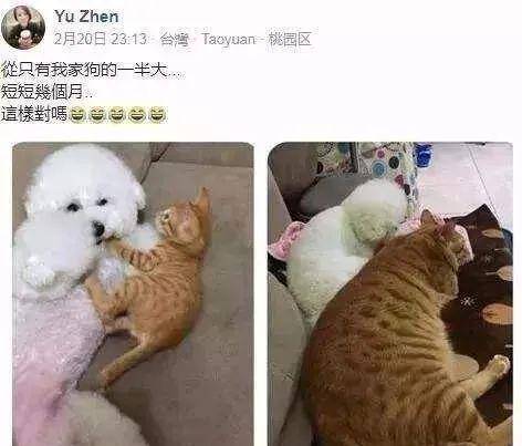 千头橘什么成语_成语故事简笔画(3)