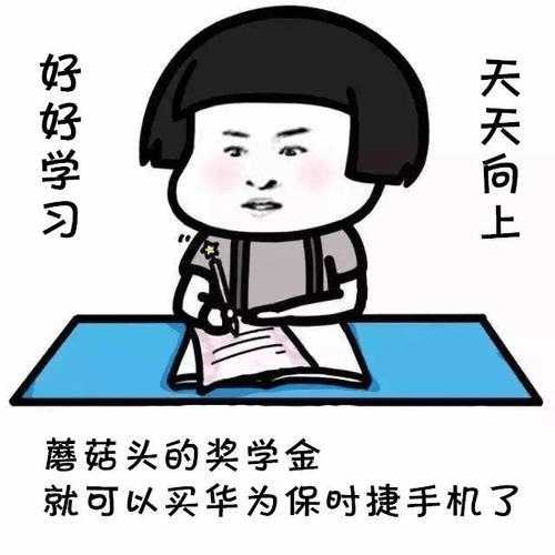 6c41bbbf00394796b4e5d65a116054e3.png
