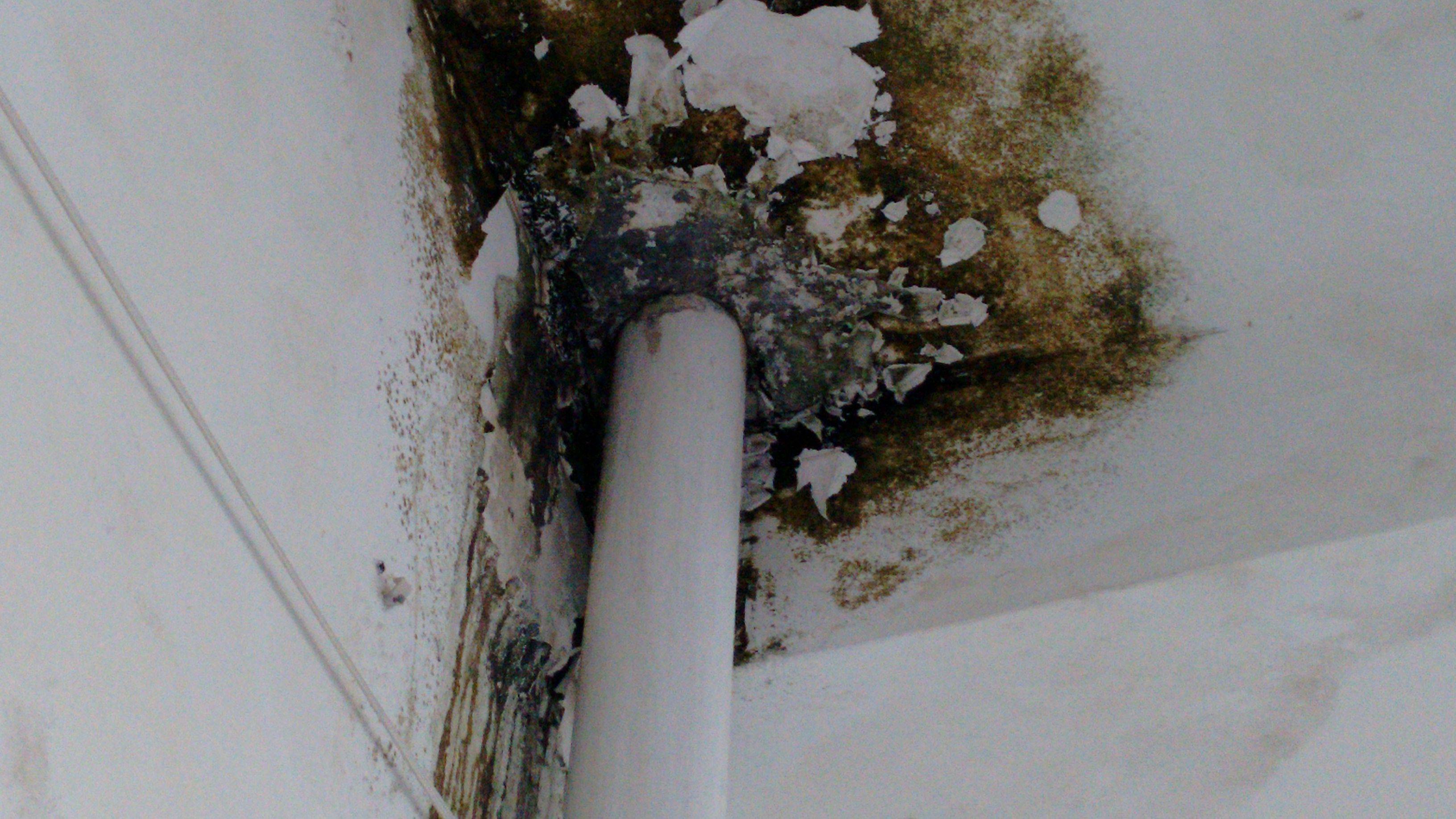 原创阳台上放洗衣机这三点要注意别像我们家一样犯错