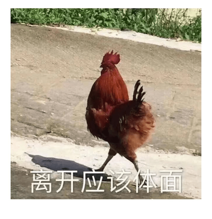 9fe6b68f91554aff930cb813173a2c0a.png