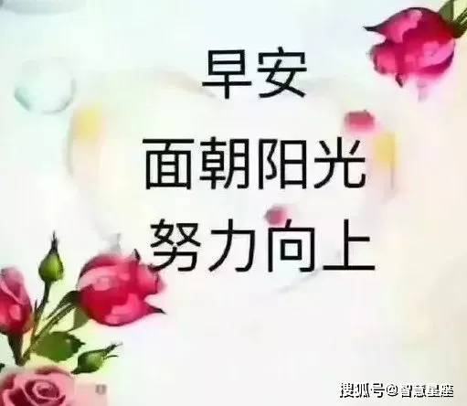 9922dc87fb3f434dac64613e48eba7f9.jpeg