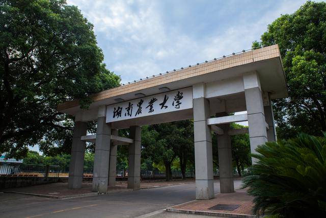 长沙大学排行_2021年长沙大学排行榜,中南大学夺冠,湖南农业大学喜得第4