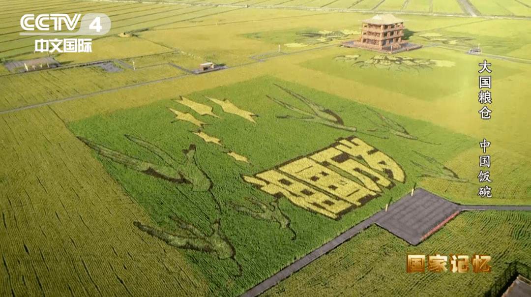 我国人口耕地相当于世界的_牛耕地图片