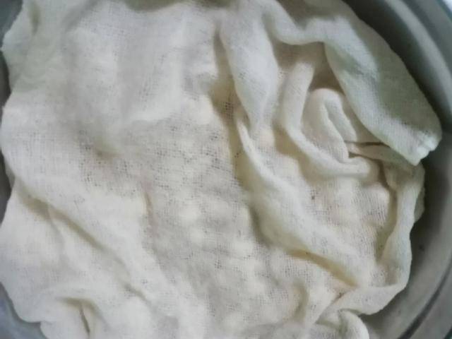 在家怎么发豆芽才不会烂 b22140615c9f46e8a587f8d7134092a1.jpeg