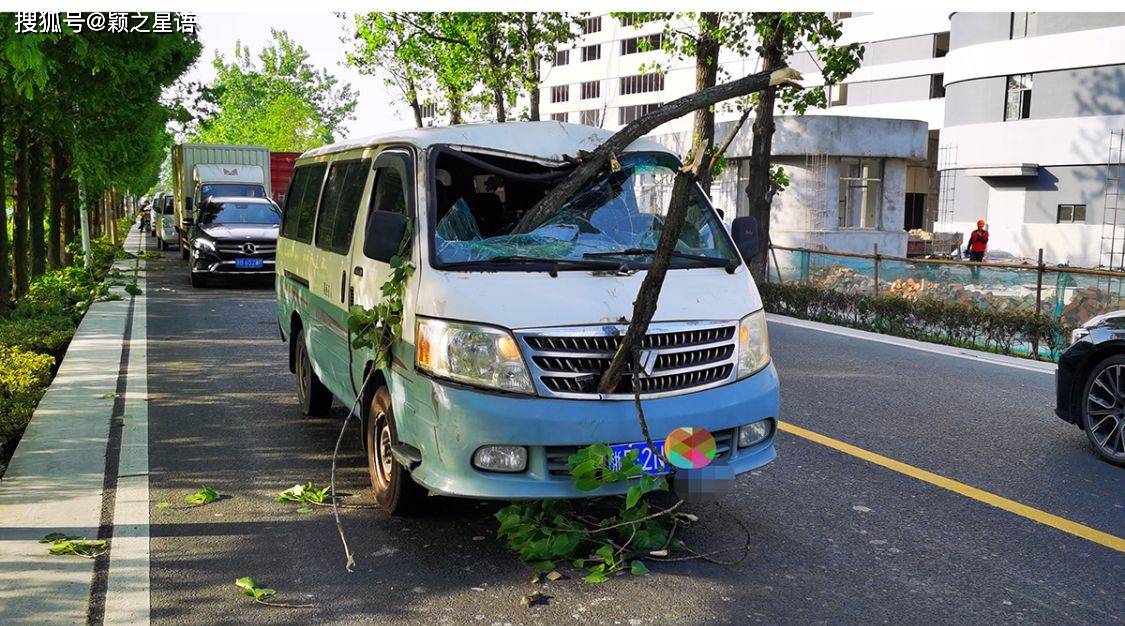 奇葩交通事故树桩砸进行驶中的汽车驾驶室找谁赔偿