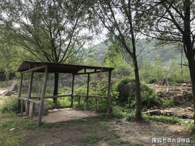 啥是红沙日 31b89acc496e40f2a879453aabf53b0c.jpeg