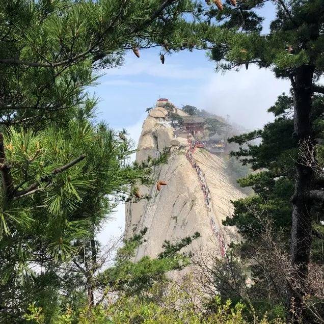 南峰(落雁峰)中峰(玉女峰)北峰(云台峰)华山主峰区游览区域主要以东