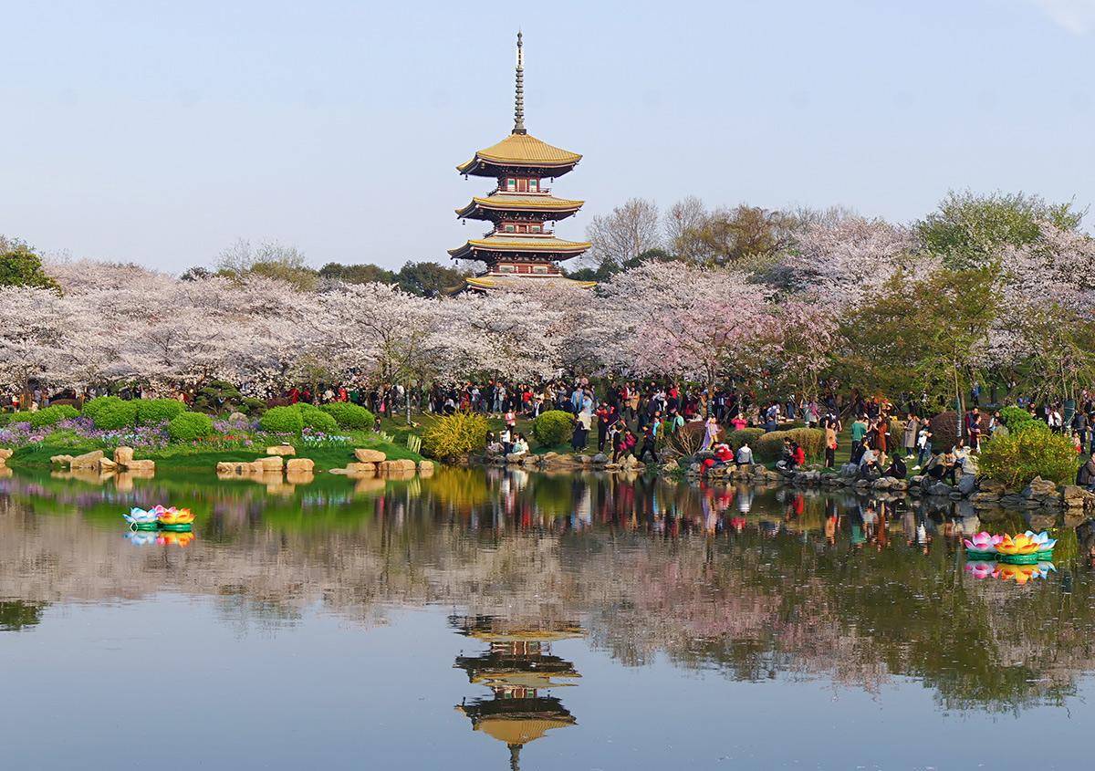 原创武汉一个湖泊是国家重点风景名胜区是国家aaaaa级旅游景区