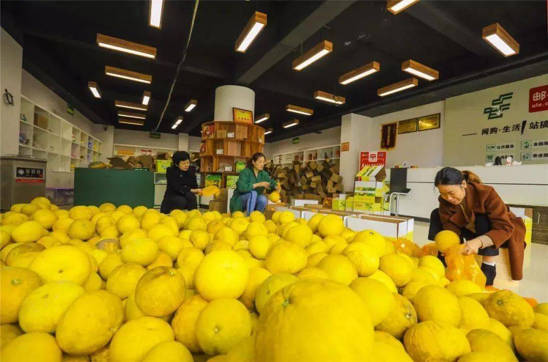 农产品出村进城怎么干农村电商下一站干什么