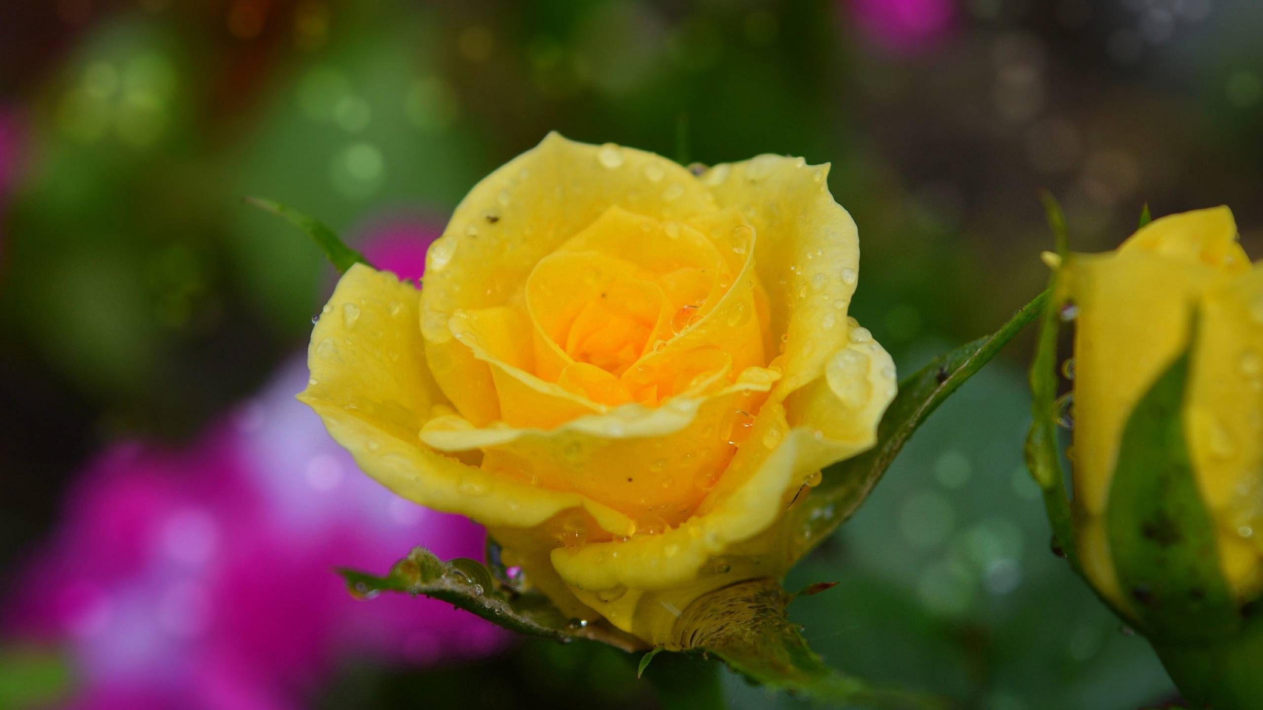 5月10日 日星座运势 白羊座谨言慎行 双鱼座独立自主 感情