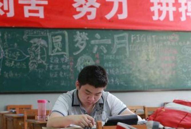 同为985大学 东南大学和东北大学差距多大 招考老师有不同看法 专业