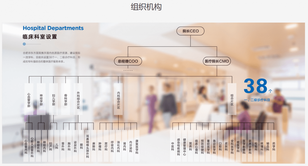 丨 图为合肥京东方医院的组织结构图,院长ceo下分总经理coo与医疗院长