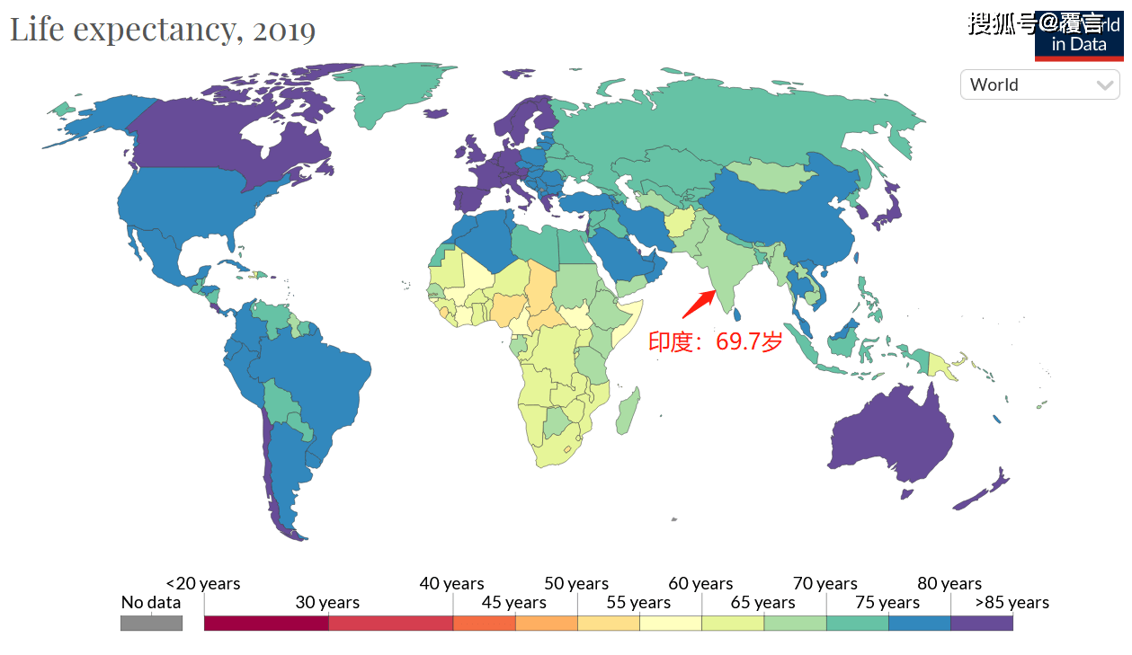 印度为什么只用牛粪算gdp_印度 牛粪公交车 上线,当地赞不绝口,印媒 超越中国20年技术