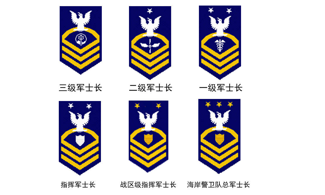 首先要了解該軍種的士兵軍銜劃分方式.