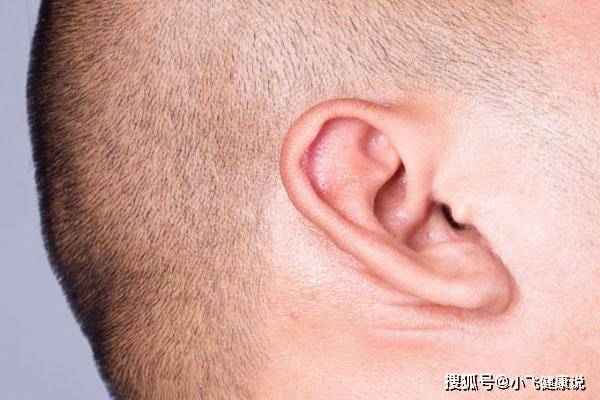 毛发旺盛的男人是不是肾好 25a90942565546d9a3c33980a9f9e8de.jpeg