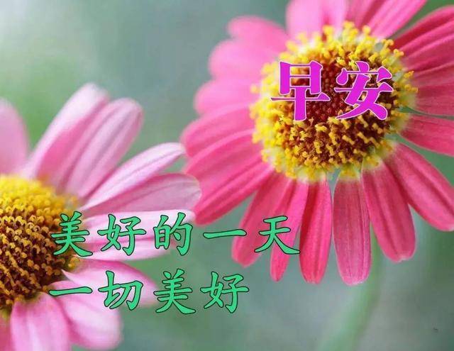 大家早上好图片大全动画 9fc216e12e1f43d2a9fcd35067c74af9.jpeg