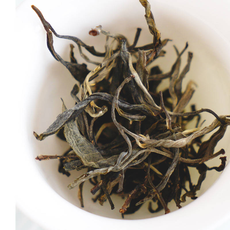 尝鲜2021年梅子箐古树茶春茶选散茶好还是紧压茶砖饼沱好