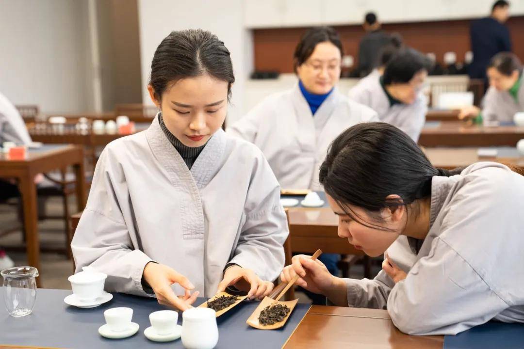 5月15日带您一探茶修的美好半日体验课招募中
