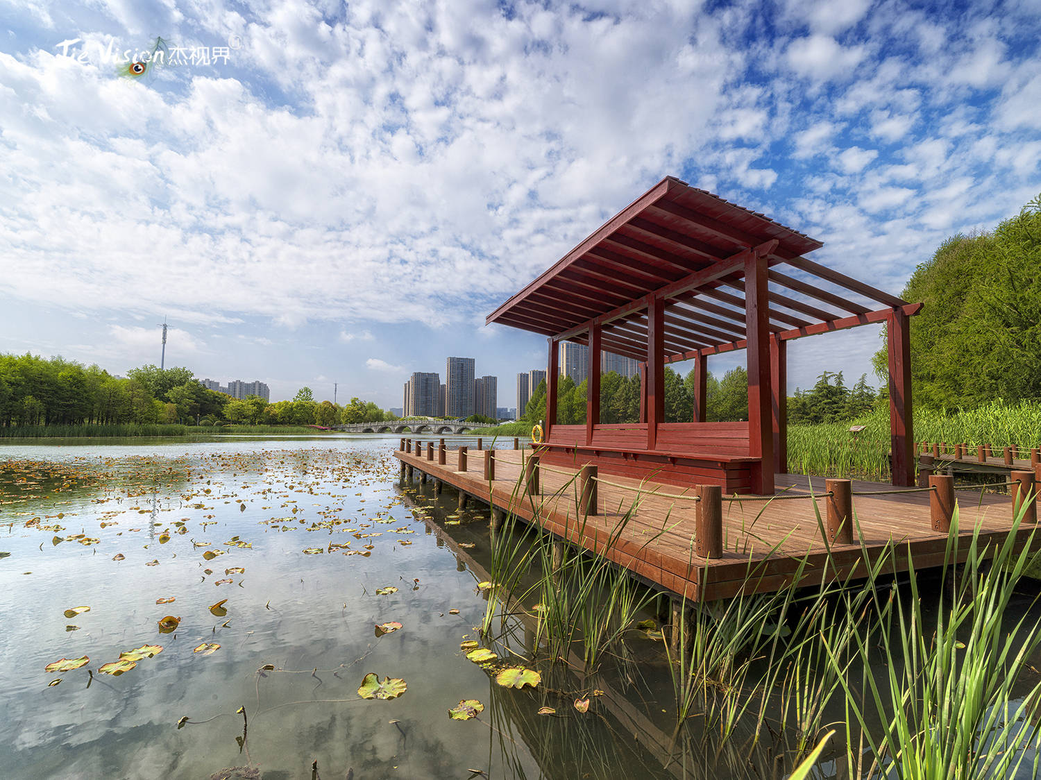 今年暑假带孩子就去这了五一后迅速爆红的万公堤有何魅力