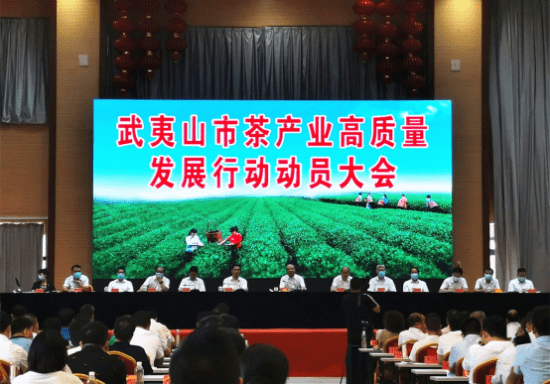 据悉,武夷山市茶产业高质量发展行动方案提出实施龙头培育,质量提升