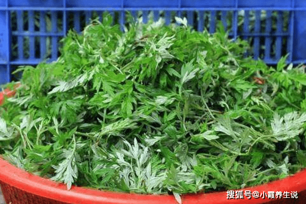 艾葉治婦科疾病:艾草對於許多的女性朋友來說確實是一個寶.