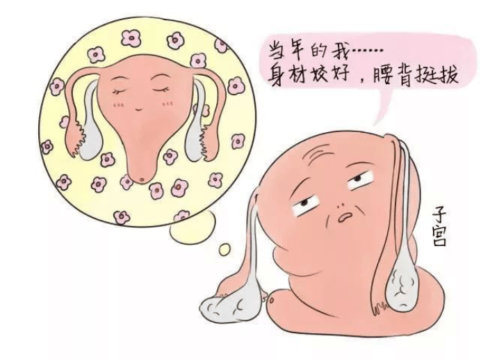 30fddbfd3e3e4b2a8d490dfc84321165.png
