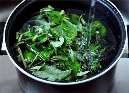 夏天用艾草煮水,竟然还有这些好处!