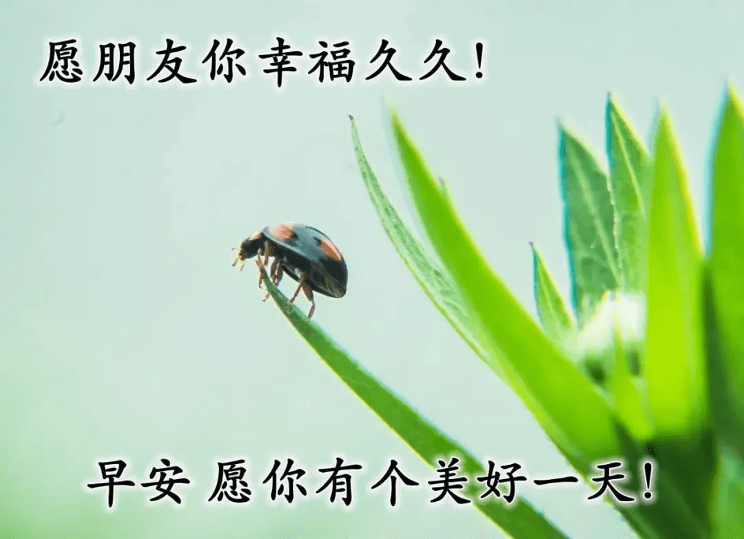 5f9ace552a374391802b7bd27607ab05.png
