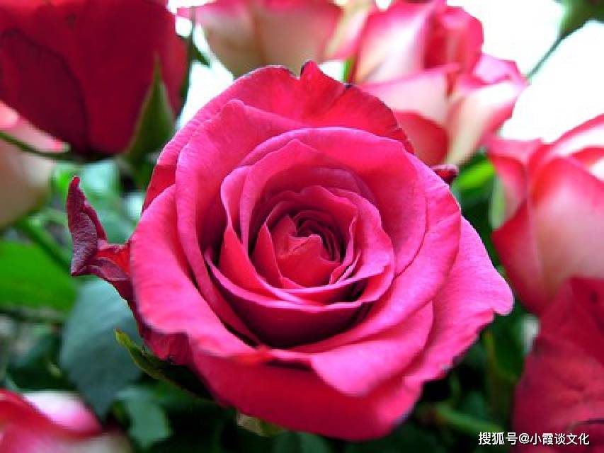 适合情人节发的深情句子 深情浪漫 赶快挑一句送给心上人 余生